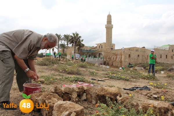 haram qarya mo3skar (31).JPG